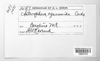 Image Associated With the Occurence